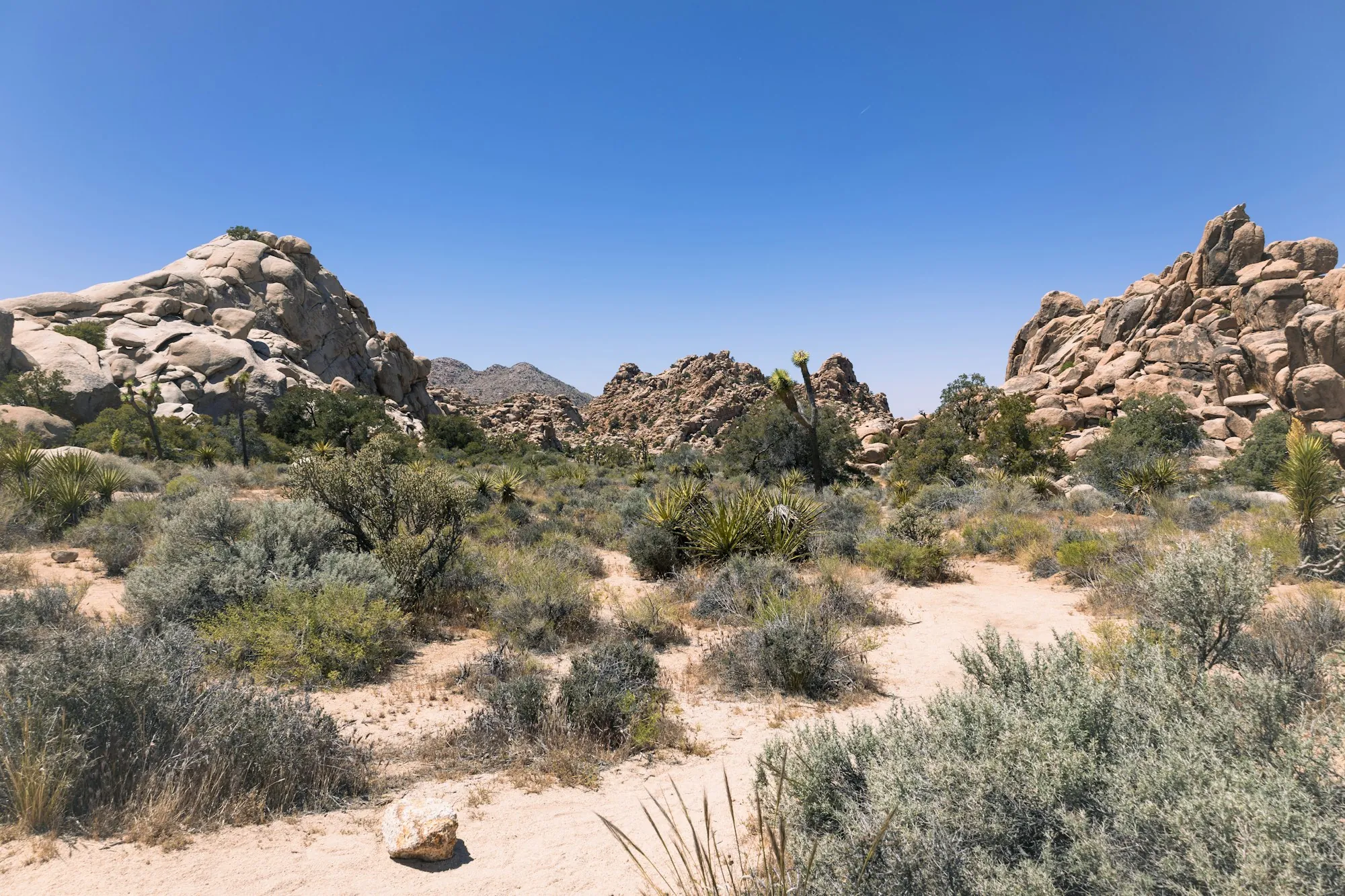 Desert landscape with sagebrush and granite boulders
